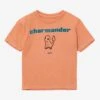 Pokémon Charmander Evolutions Toddler T-Shirt - BoxLunch Exclusive