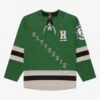 Harry Potter Slytherin Hockey Jersey - BoxLunch Exclusive